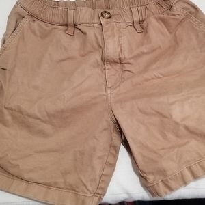 Chubbies khaki shorts